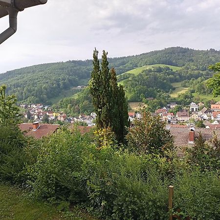 Das Tor Zum Odenwald Gorxheimertal Εξωτερικό φωτογραφία