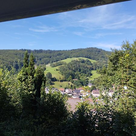 Das Tor Zum Odenwald Gorxheimertal Εξωτερικό φωτογραφία