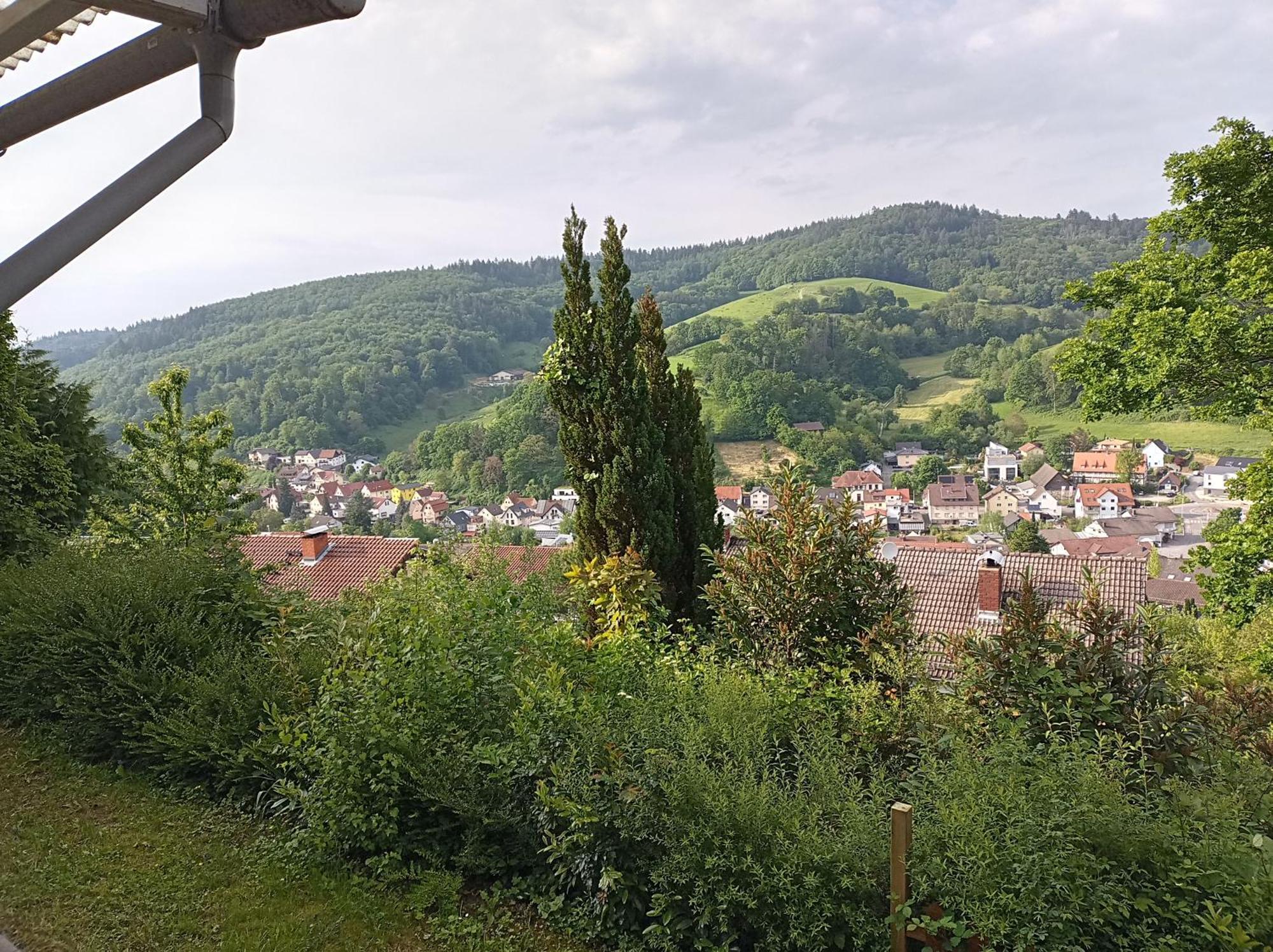 Das Tor Zum Odenwald Gorxheimertal Εξωτερικό φωτογραφία