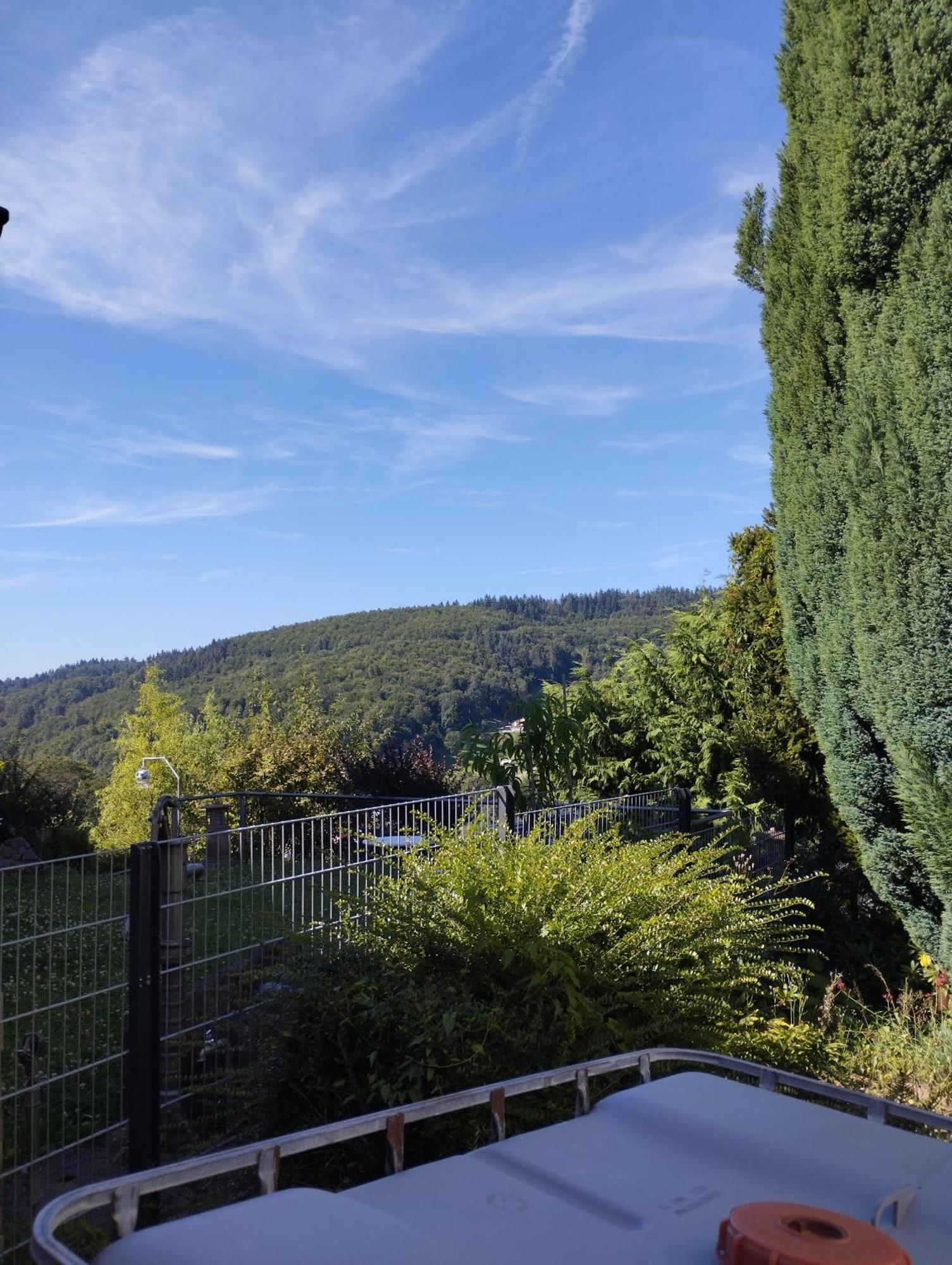 Das Tor Zum Odenwald Gorxheimertal Εξωτερικό φωτογραφία